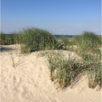 IMG_3319.JPG